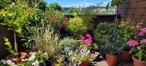 Foto - 2 Zimmer Etagenwohnung in Friedrichsdorf