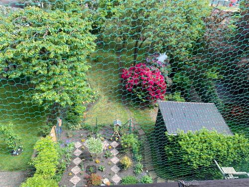 Foto - 3 Zimmer Etagenwohnung zur Miete in Bremerhaven