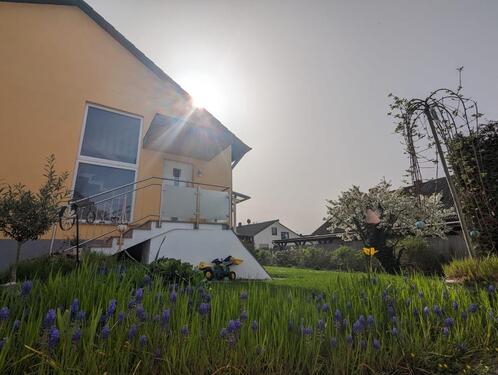 Foto - 3.5 Zimmer Terrassenwohnung zur Miete in Aurachtal