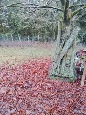 Foto - Grundst&uuml;ck zur Miete in Hermeskeil