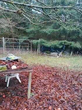 Foto - Grundst&uuml;ck in Hermeskeil