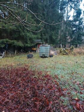 Foto - Grundst&uuml;ck in Hermeskeil zur Miete
