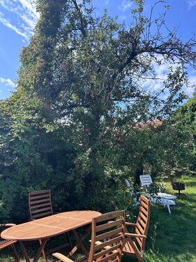 Foto - Grundst&uuml;ck in Berlin