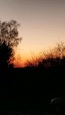 Foto - Wohnung zu vermieten - 710,00&nbsp;EUR Kaltmiete, ca.&nbsp; 58,00&nbsp;m&sup2;