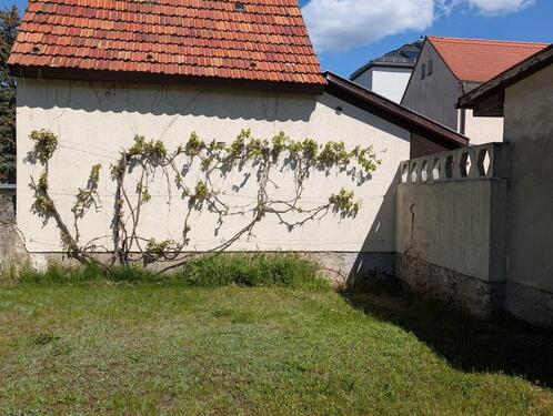 Foto - 