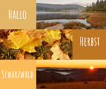Foto - Herbst-Urlaub im Hochschwarzwald - FeWo am Feldberg für 2-4