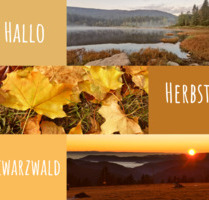 Herbst-Urlaub im Hochschwarzwald - FeWo am Feldberg für 2-4 - Feldberg (Schwarzwald)