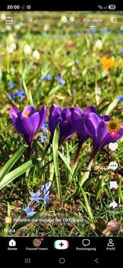 Foto - ETW frei, Toplage Krefeld Verberg