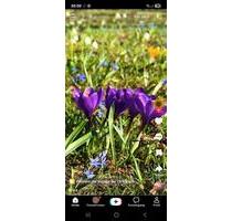 ETW frei, Toplage Krefeld Verberg