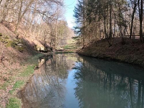 Foto - Wochenendgrundstück mit Fischweiher