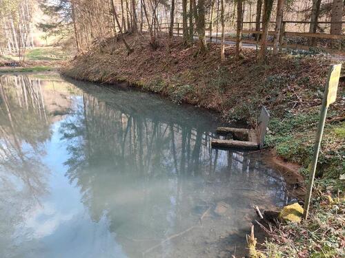 Foto - Grundst&uuml;ck zur Miete in Hochspeyer