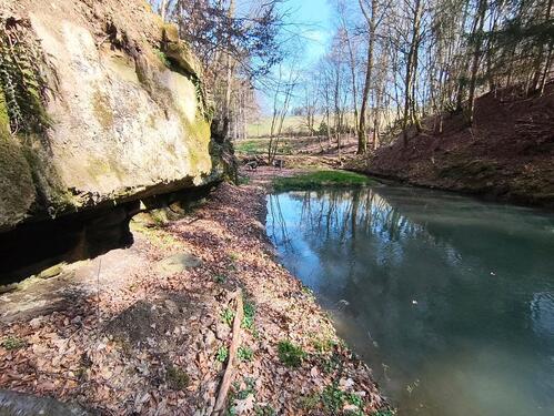 Foto - Grundst&uuml;ck in Hochspeyer