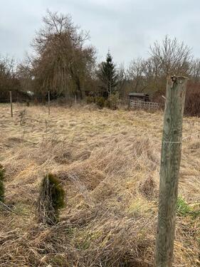 Foto - Grundst&uuml;ck in Mainz