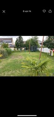 Foto - Einfamilienhaus zum Kaufen in Reilingen