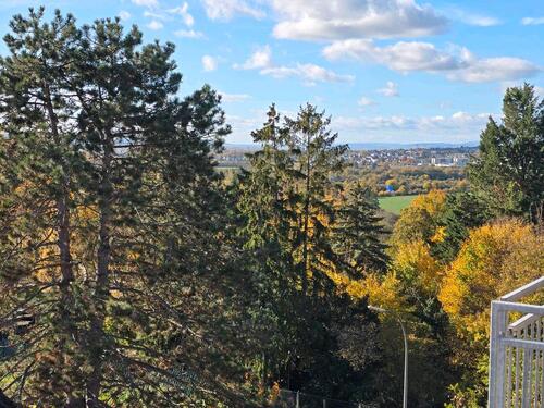 Foto - Etagenwohnung zur Miete in Wiesbaden