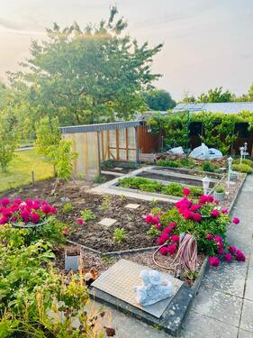 Foto - Kleingarten (300qm) in Wolfenbüttel abzugeben.