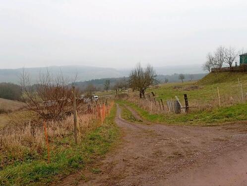 Foto - Ca. 3,5ha Wiese mit Unterstand zu verpachten