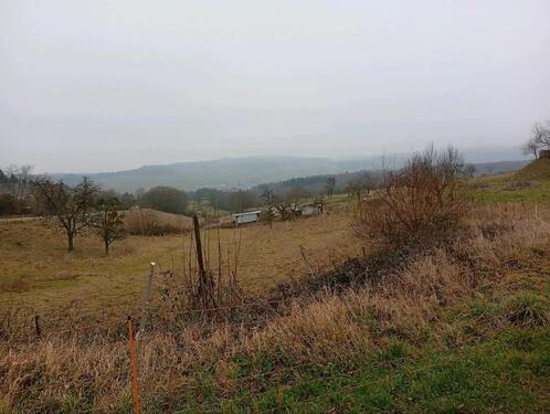 Foto - Grundst&uuml;ck zur Miete in Konz