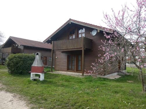 Foto - Ferienwohnung auf dem Pferdehof