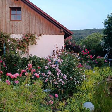 Foto - Ferienwohnung 100qm Bischofsheim in der Rhön