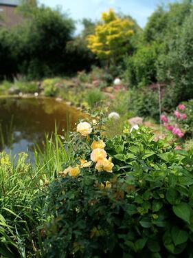Foto - andere in Bischofsheim in der Rhön