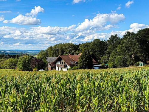 Foto - Einfamilienhaus zum Kaufen in Oelsnitz (Vogtland)