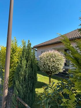 Foto - Einfamilienhaus - 500.000,00 EUR Kaufpreis,