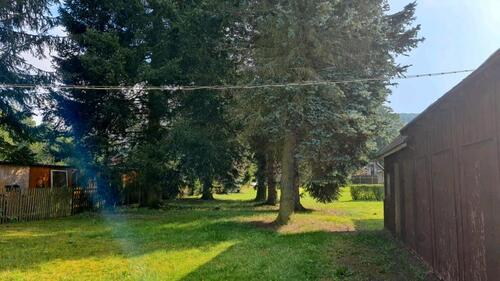 Foto - Einfamilienhaus in Olbernhau zum Kaufen