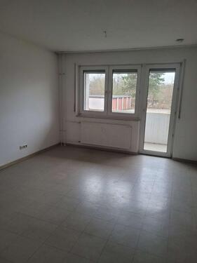 Foto - Berliner alle 4-1 ZKB Wohnung im EG *ab sofort* zu vermieten