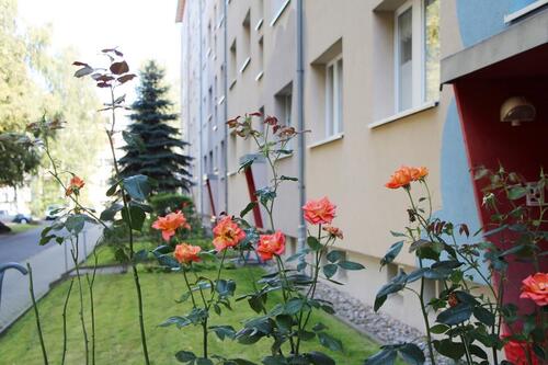 Foto - 3 Zimmer Erdgeschoßwohnung zur Miete in Döbeln