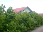 Foto - Einfamilienhaus in Külsheim