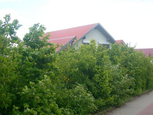 Foto - Einfamilienhaus in Külsheim