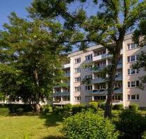 Ihre neue 3-Raumwohnung, Küche und Bad mit Fenster - sofort einziehen - Halle (Saale) Halle-Neustadt