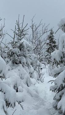 Foto - andere in Bad Lauterberg im Harz zur Miete