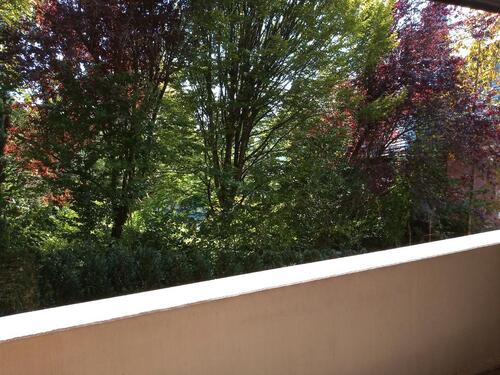 Foto - Lukrative idyllisch gelegene Wohnung klein, clever, gefragt