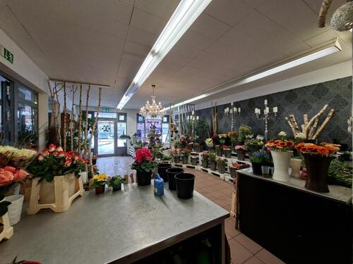 Foto - andere in Celle