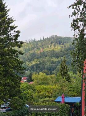 Foto - idyllische 2 Zimmer Wohnung auf dem Lautenberg (Suhl) ab sofort