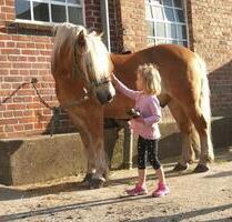 Ostsee Fehmarn Ferienhof Ferienwohnung Ponyreiten Spielscheune