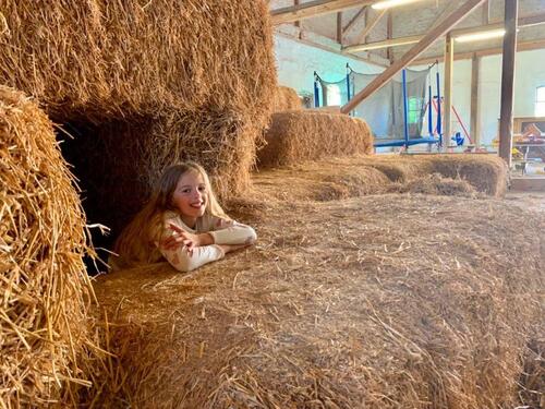 Foto - andere in Fehmarn