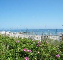 Ab April 2026 2-Zimmer-Ferienwohnung OstseeSchlei (2 Personen) - Kappeln