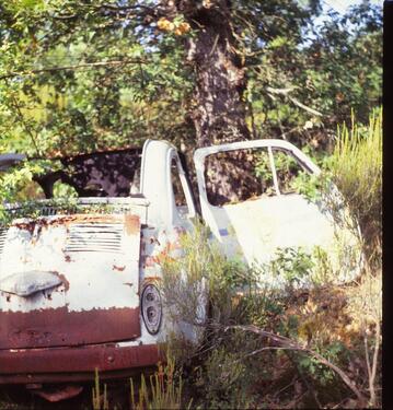Foto - Wohnung in München über Weihnachten
