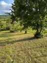 Foto - Garten in Stuttgart Feuerbach am Horn
