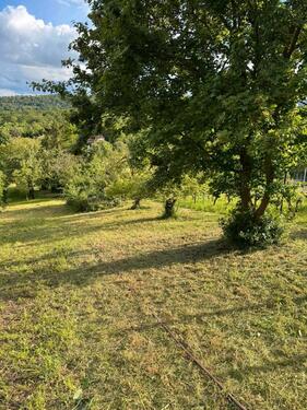 Foto - Garten in Stuttgart Feuerbach am Horn