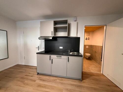 Foto - 1 Zimmer Etagenwohnung zur Miete in Erlangen