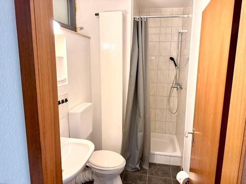 Foto - 1 Zimmer Etagenwohnung zur Miete in Ludwigshafen am Rhein