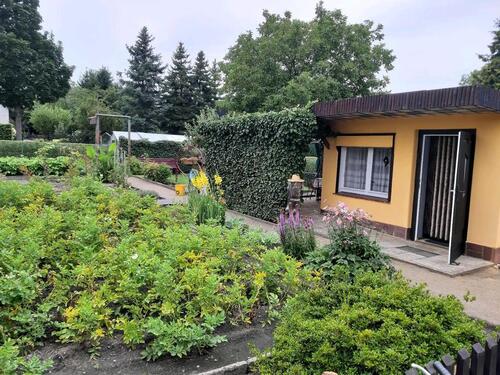 Foto - Grundstück in Schwarzheide