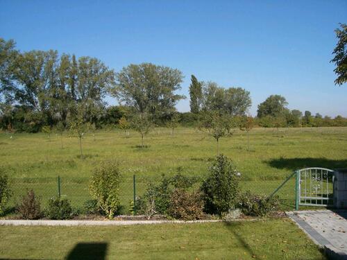 Foto - 2 Zimmer Dachgeschoßwohnung zur Miete in Riedstadt