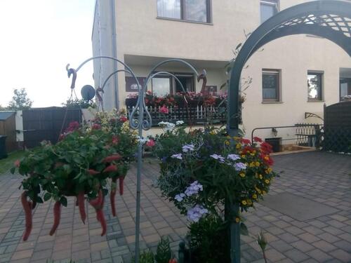 Foto - Reihenhaus in Gröditz zum Kaufen