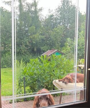 Foto - Freihstehendes Einfamilienhaus in Eversten Oldenburg