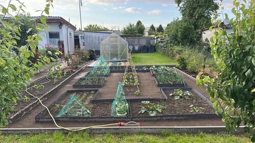 Foto - Garten in Rostock Evershagen - 3.500,00 EUR Kaltmiete, ca.  0,00 m²